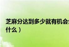 芝麻分達到多少就有機會免押金使用神州租車（神州租車是什么）