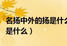 名揚(yáng)中外的揚(yáng)是什么意思（名揚(yáng)中外的揚(yáng)意思是什么）