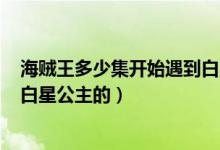 海賊王多少集開(kāi)始遇到白星公主的（海賊王530集開(kāi)始遇到白星公主的）