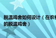 脫溫雞舍如何設(shè)計(jì)（在農(nóng)村怎樣建造一個(gè)5000～10000只雞的脫溫雞舍）