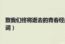 致我們終將逝去的青春經(jīng)典語錄（致我們終將逝去的青春臺詞）