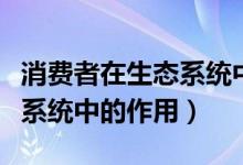 消費者在生態(tài)系統(tǒng)中的作用是（消費者在生態(tài)系統(tǒng)中的作用）