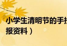 小學(xué)生清明節(jié)的手抄報內(nèi)容（有關(guān)清明節(jié)手抄報資料）
