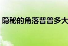 隱秘的角落普普多大（該劇講述了什么故事）