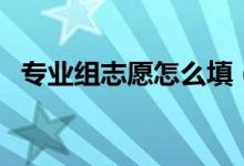 專業(yè)組志愿怎么填（志愿填報(bào)技巧有什么）