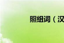 照組詞（漢字照怎么組詞）