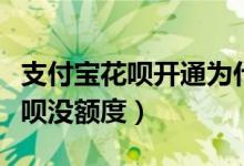 支付寶花唄開(kāi)通為什么會(huì)沒(méi)有額度（為什么花唄沒(méi)額度）