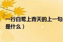 一行白鷺上青天的上一句是什么（一行白鷺上青天的上一句是什么）