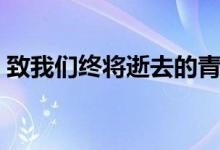 致我們終將逝去的青春觀后感（你有看過(guò)嗎）