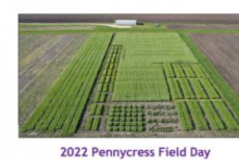 計劃于5月26日舉行的第三次IPREFER Pennycress野外日