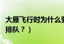 大雁飛行時為什么要排隊（大雁飛行時為啥要排隊？）