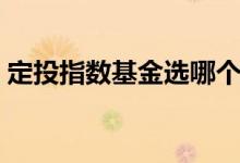 定投指數(shù)基金選哪個好（債券型的是怎么樣）