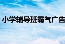小學(xué)輔導(dǎo)班霸氣廣告語（輔導(dǎo)班廣告詞合集）