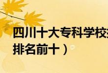 四川十大專科學(xué)校排名2022（高職高專院校排名前十）