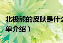 北極熊的皮膚是什么顏色螞蟻莊園（北極熊簡單介紹）