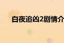 白夜追兇2劇情介紹（白夜追兇2簡介）