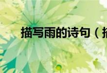 描寫雨的詩句（描寫雨的詩句有什么）