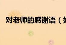 對老師的感謝語（如何表達對老師的感激）