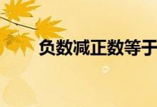 負數(shù)減正數(shù)等于多少（負數(shù)減正數(shù)）