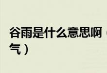 谷雨是什么意思啊（谷雨是降水逐漸增多的節(jié)氣）