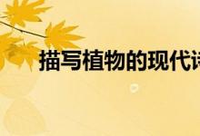 描寫植物的現(xiàn)代詩（描寫植物的詩歌）