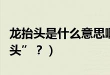 龍?zhí)ь^是什么意思?。ǘ露槭裁唇小褒?zhí)ь^”？）