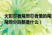 火影忍者尾獸忍者里的尾獸都長(zhǎng)什么樣子(火影忍者中九大尾獸分別都是什么)