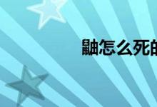 鼬怎么死的(鼬是誰呢)