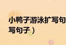 小鴨子游泳擴(kuò)寫(xiě)句子（15句小鴨在游泳的擴(kuò)寫(xiě)句子）