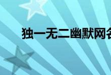 獨一無二幽默網(wǎng)名(驚艷的幽默網(wǎng)名)