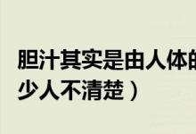 膽汁其實(shí)是由人體的哪一個(gè)器官分泌的（有多少人不清楚）