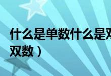 什么是單數(shù)什么是雙數(shù)?。ㄊ裁词菃螖?shù)什么是雙數(shù)）