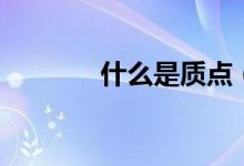 什么是質(zhì)點（質(zhì)點系是什么）