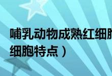 哺乳動物成熟紅細(xì)胞的特點(diǎn)（哺乳動物成熟紅細(xì)胞特點(diǎn)）