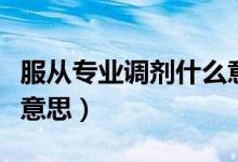 服從專業(yè)調(diào)劑什么意思?。ǚ膶I(yè)調(diào)劑什么意思）