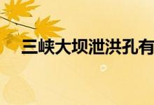 三峽大壩泄洪孔有幾個(gè)（三峽大壩簡(jiǎn)介）