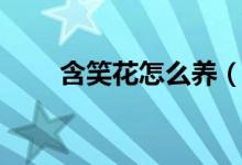 含笑花怎么養(yǎng)（含笑花的養(yǎng)殖方法）