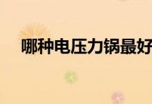 哪種電壓力鍋最好（什么電壓力鍋最好）