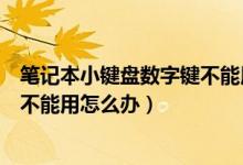 筆記本小鍵盤數(shù)字鍵不能用怎么回事（筆記本小鍵盤數(shù)字鍵不能用怎么辦）