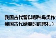 我國(guó)古代曾以哪種鳥(niǎo)類作為婚娶時(shí)的聘禮（哪種鳥(niǎo)類曾作為我國(guó)古代婚娶時(shí)的聘禮）