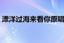 漂洋過(guò)海來(lái)看你原唱（漂洋過(guò)海來(lái)看你簡(jiǎn)介）