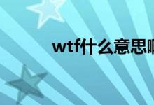 wtf什么意思?。╳tf的意思啊）