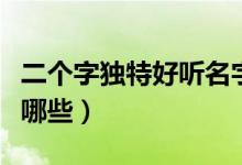 二個(gè)字獨(dú)特好聽名字（二個(gè)字獨(dú)特好聽名字有哪些）