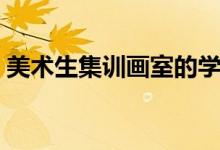 美術(shù)生集訓(xùn)畫室的學(xué)費一般是多少(貴不貴)