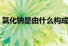 氯化鈉是由什么構成的（氯化鈉構成的部分）