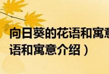 向日葵的花語和寓意是什么（關(guān)于向日葵的花語和寓意介紹）