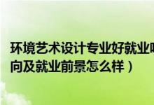 環(huán)境藝術(shù)設(shè)計(jì)專(zhuān)業(yè)好就業(yè)嗎（2022環(huán)境藝術(shù)設(shè)計(jì)專(zhuān)業(yè)就業(yè)方向及就業(yè)前景怎么樣）