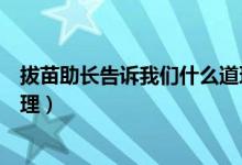 拔苗助長(zhǎng)告訴我們什么道理簡(jiǎn)短（拔苗助長(zhǎng)告訴我們什么道理）