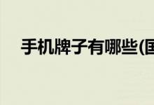 手機(jī)牌子有哪些(國(guó)產(chǎn)最暢銷手機(jī)排行榜)