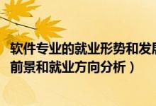 軟件專業(yè)的就業(yè)形勢和發(fā)展前景（2022年軟件技術專業(yè)就業(yè)前景和就業(yè)方向分析）